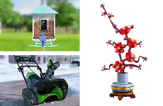 Yes, Best Kopotakkho sells thatTM